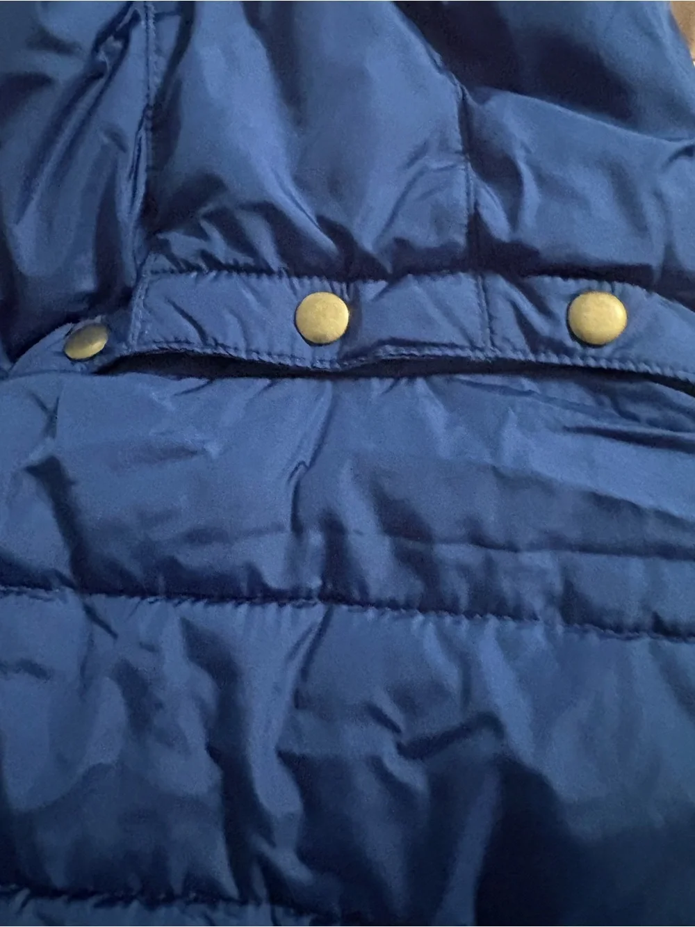 GAP Royal Blue Hooded Puffer Jacket for Kids